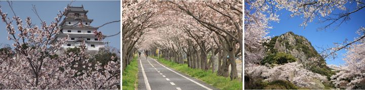 佐賀賞櫻景點  ▲唐津城   ▲徐福自行車車道 ▲御船山樂園 