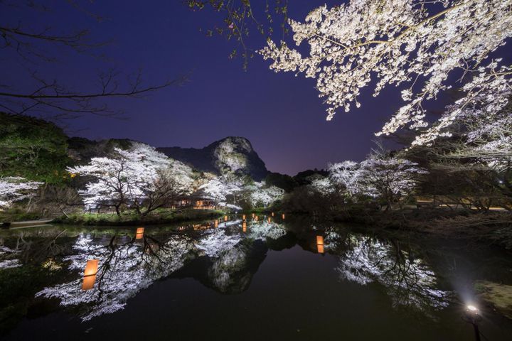 御船山樂園 御船山 春の夜