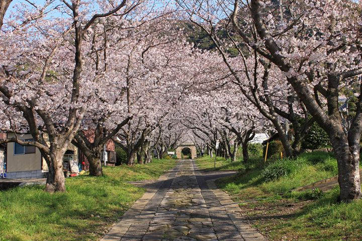 武雄-圓應寺