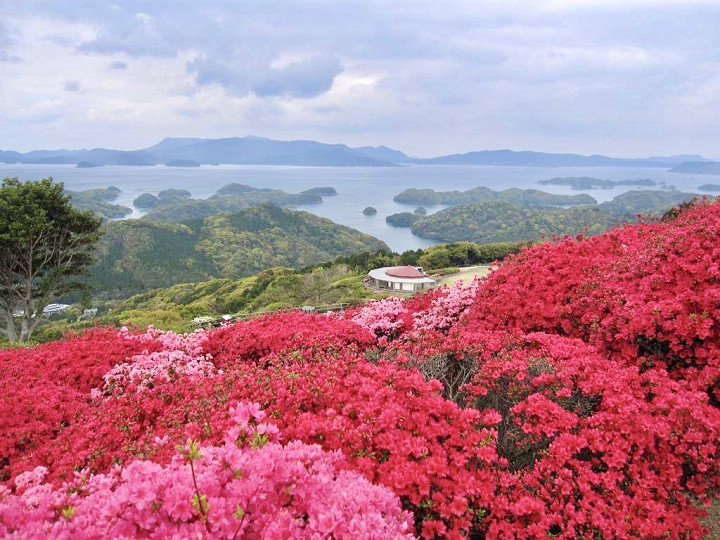 長串山公園能一次盡享杜鵑花海與九十九島風景。