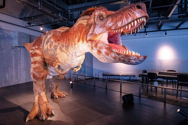 館內亮點之一的機器暴龍。   圖片提供：長崎市恐龍博物館