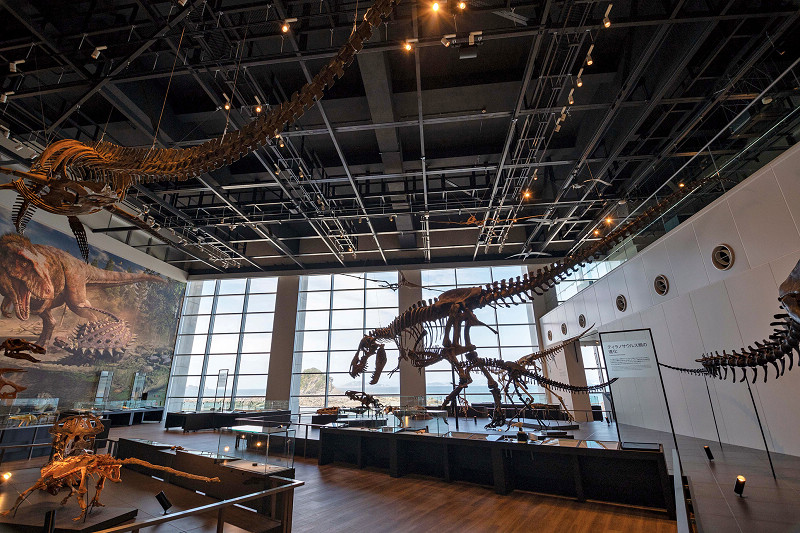 館內的常設展示室     圖片提供：長崎市恐龍博物館