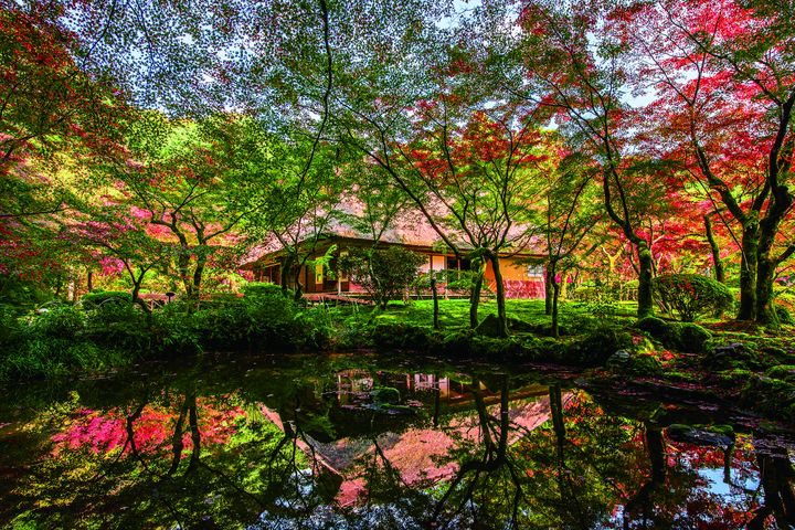 ▲九年庵僅開放九天可賞楓，是佐賀私房紅葉秘境。　圖：佐賀縣觀光聯盟／提供