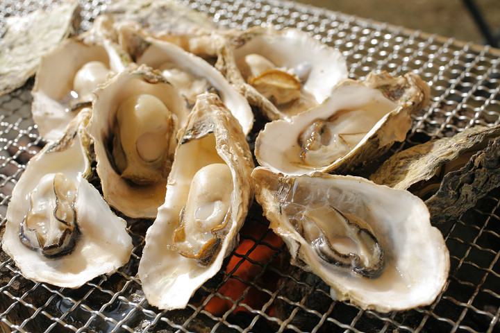 09 九十九島牡蠣雖然較小顆，但鮮味濃厚。    圖片提供：長崎縣觀光連盟