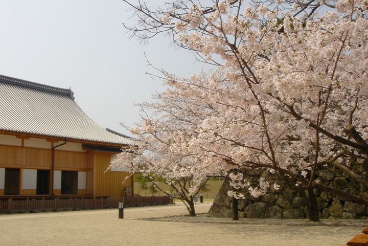 佐賀城本丸歴史館