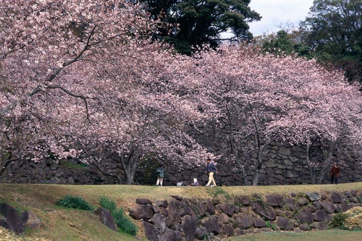 3月 名護屋城 唐津市 豐臣秀吉