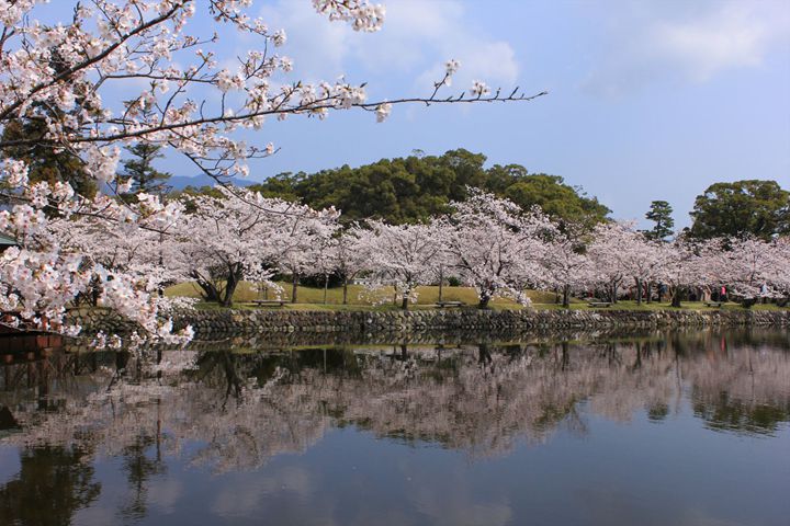 小城公園