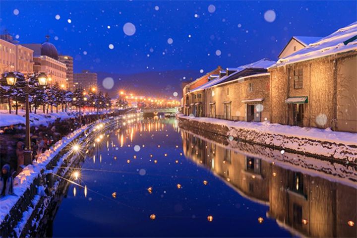 北海道 小樽運河 雪燈之路