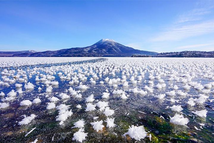 北海道 阿寒湖 霜花