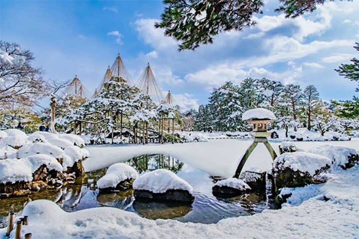 ▲ 兼六園的雪吊與雪景交織，在夜間燈光下突顯了幾何的美感。　圖：阪急交通社╱提供