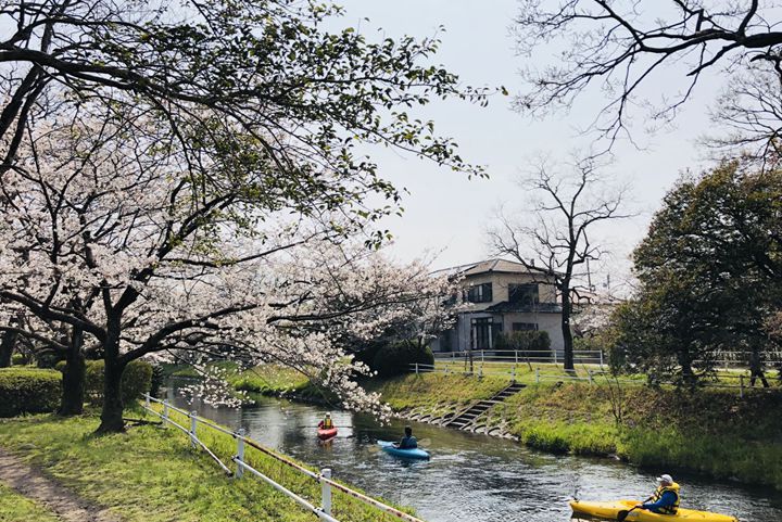  多布施川河畔公園