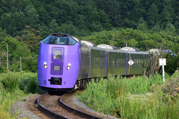 ▲富良野薰衣草特急列車從札幌出發,可當日往返。 圖:JR北海道提供